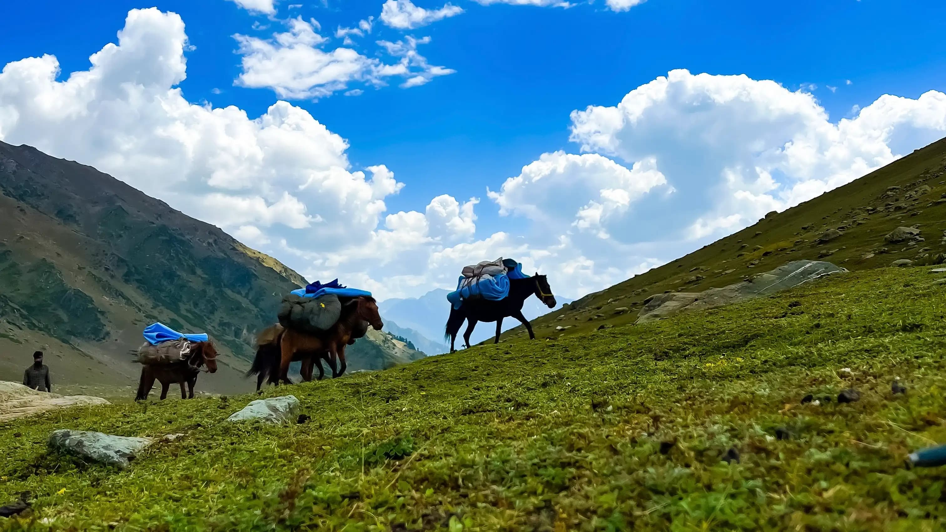 kailash rath treks