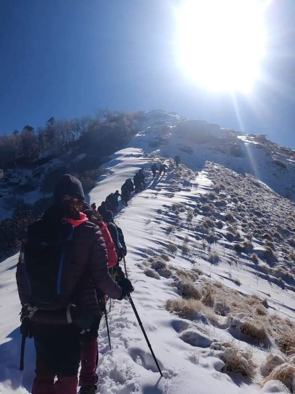 kailash rath treks