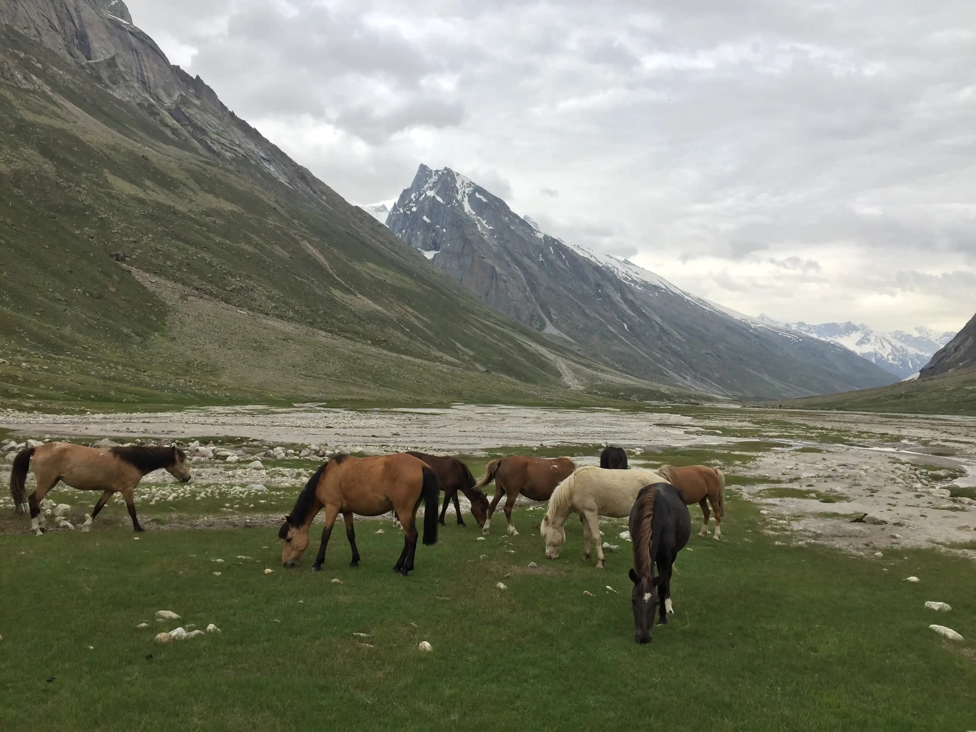 kailash rath treks