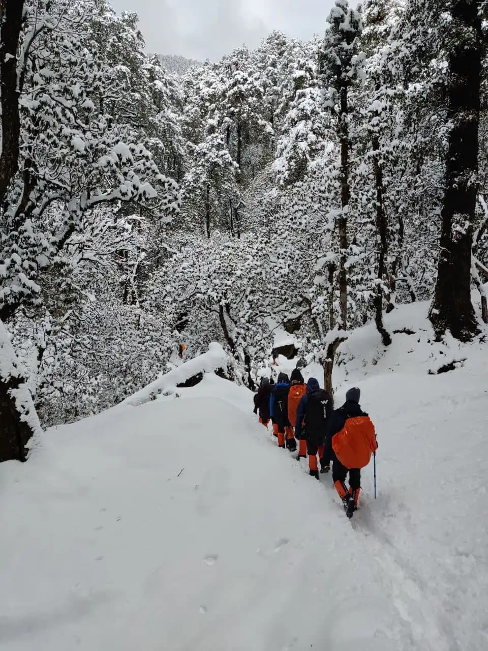 kailash rath treks