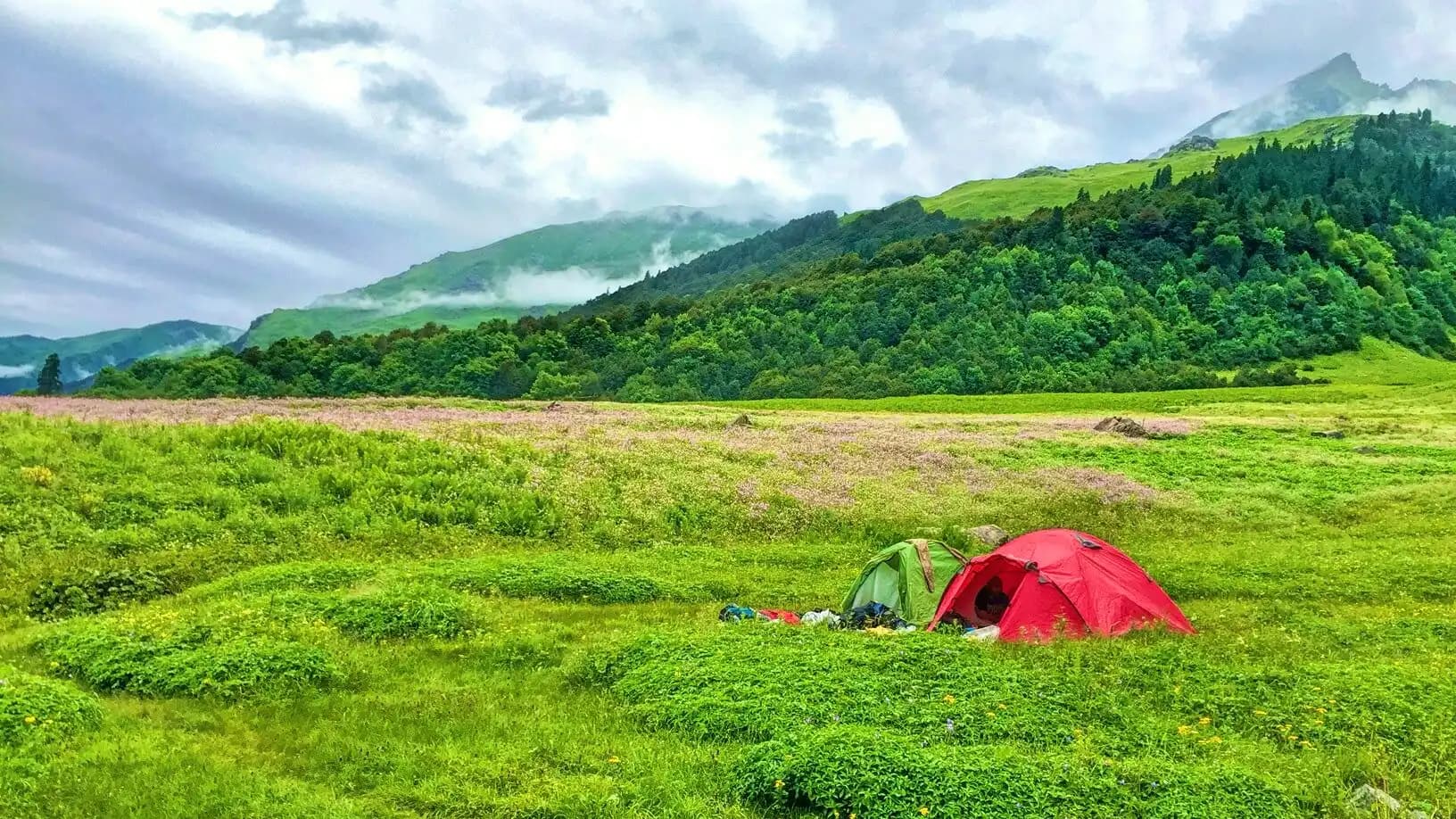kailash rath treks