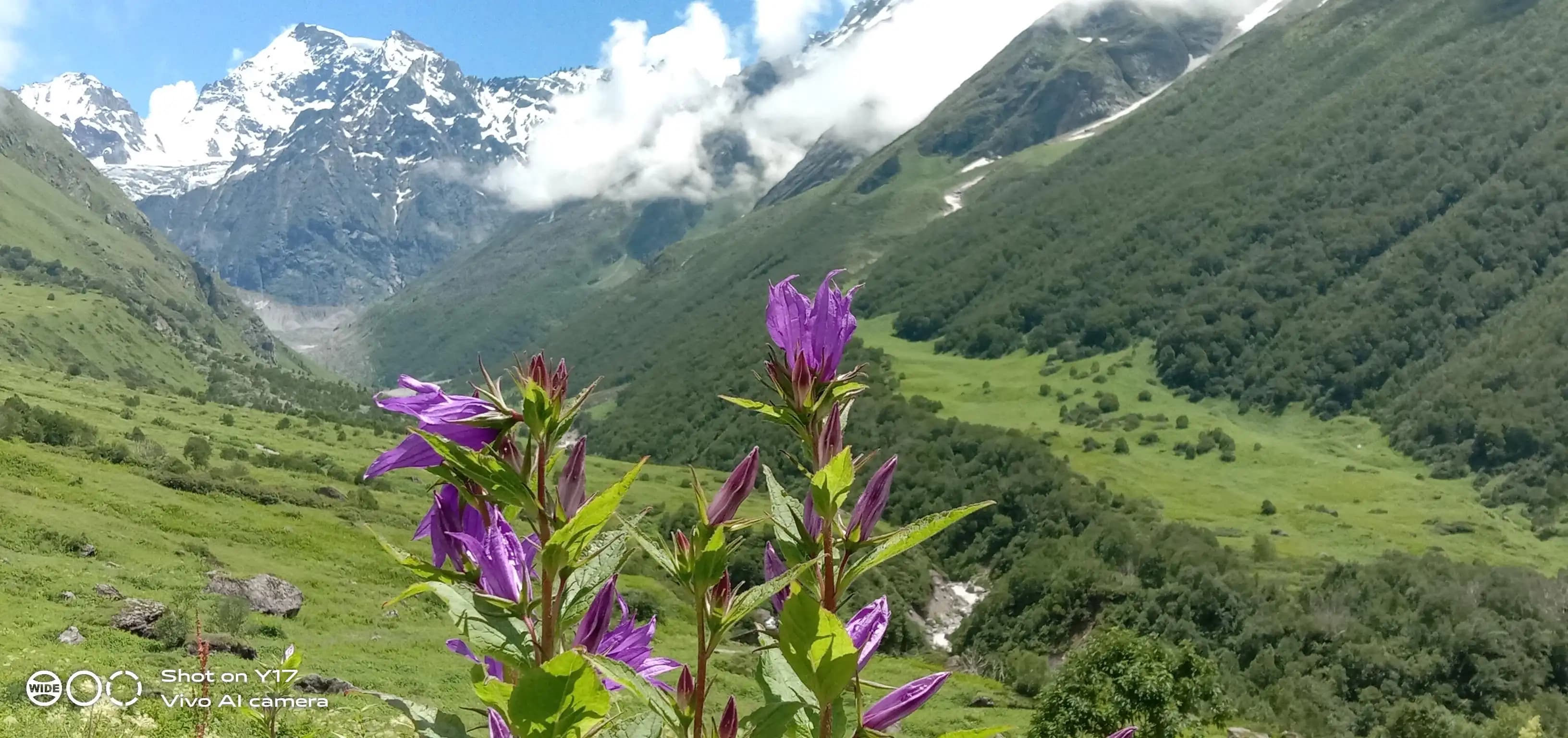 kailash rath treks