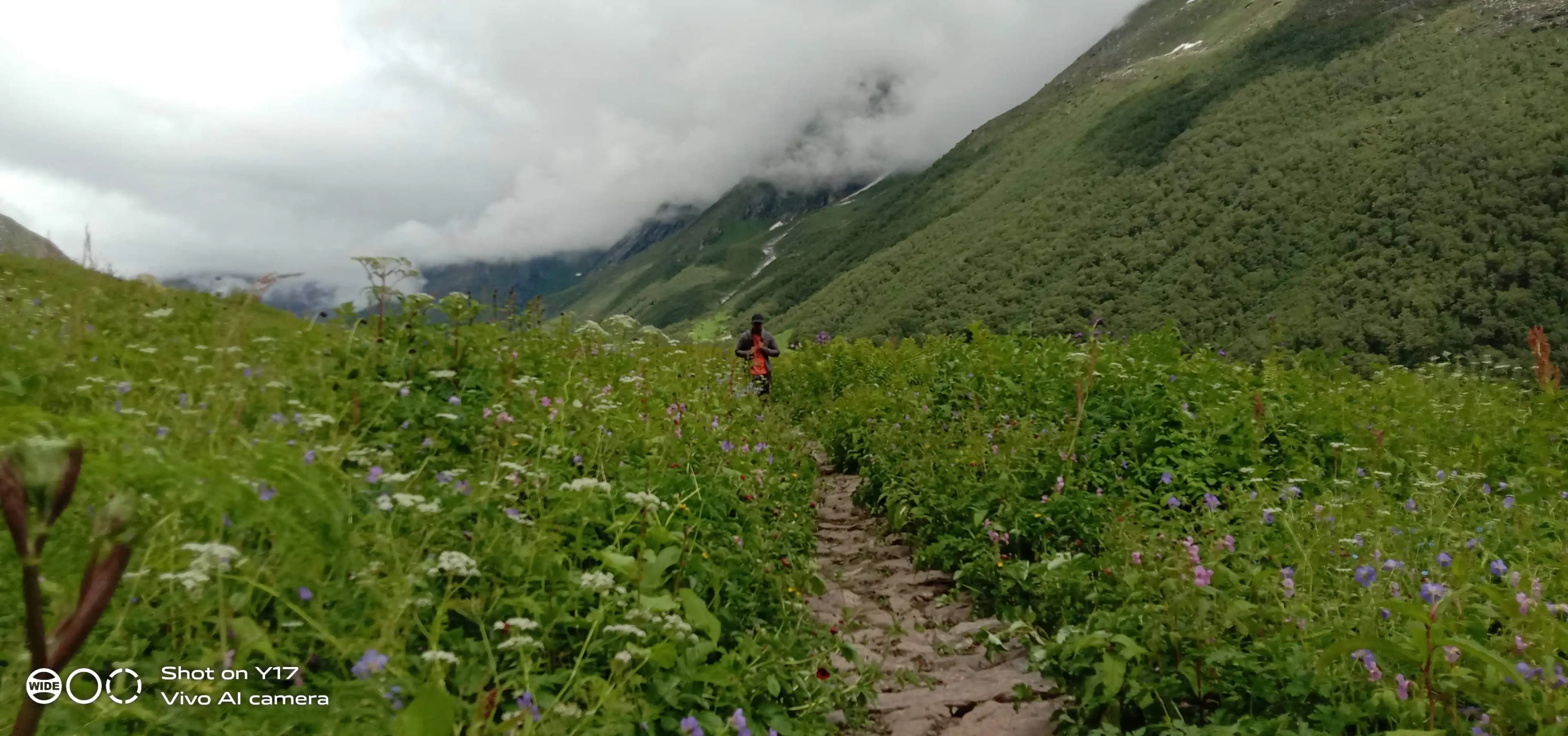 kailash rath treks