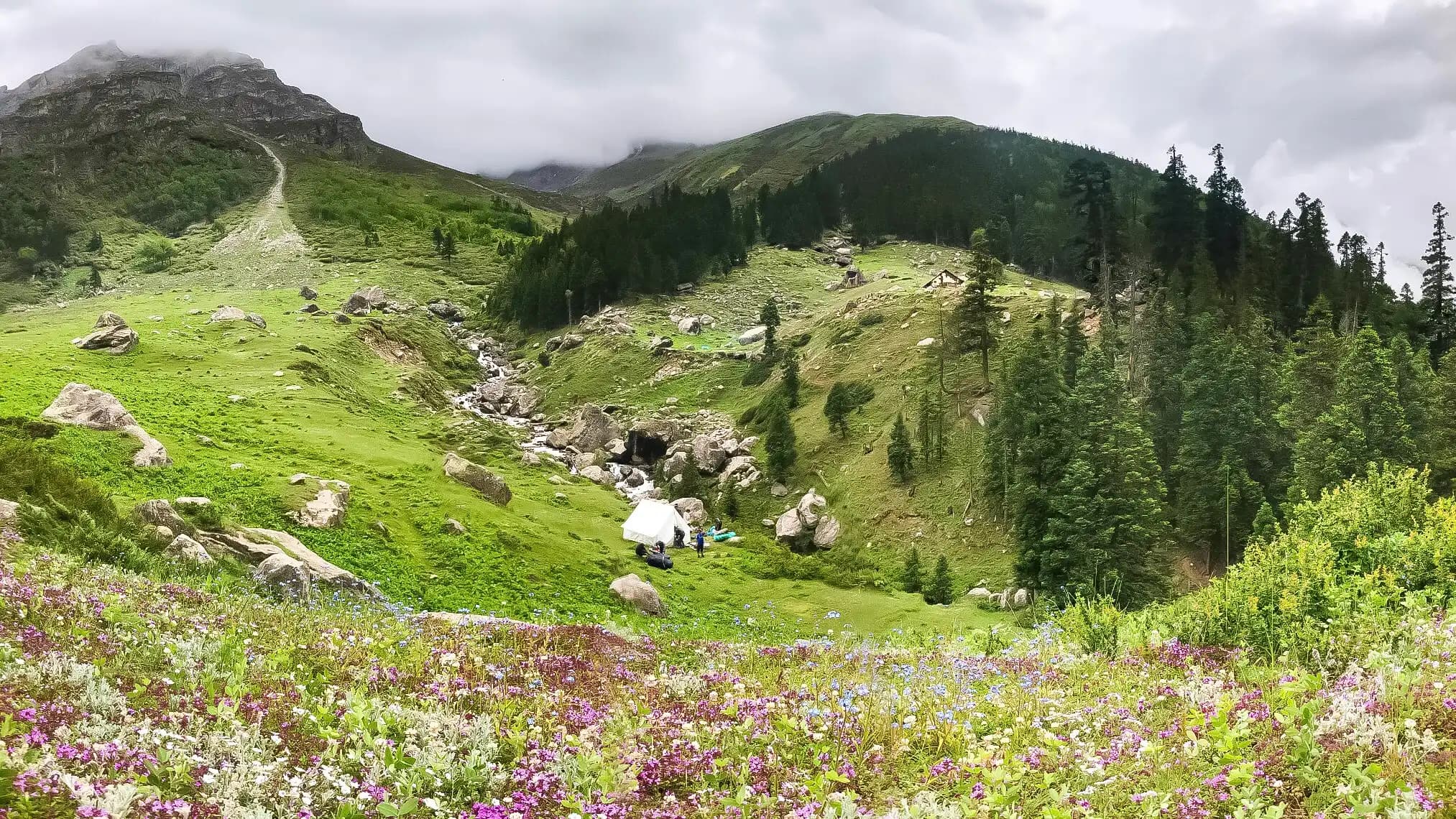 kailash rath treks