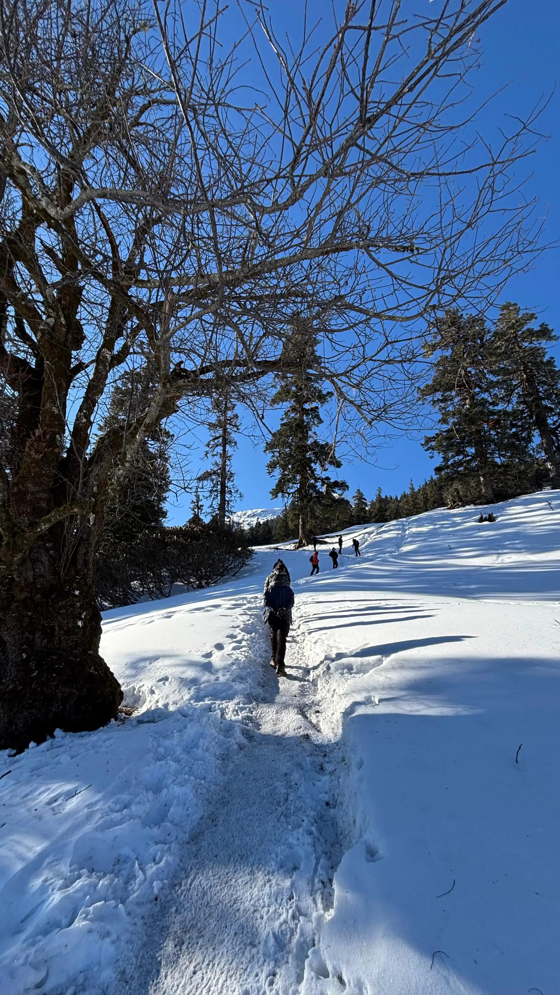 kailash rath treks